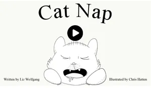 Cat Nap activity