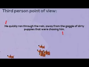 Comparing Point of View activity