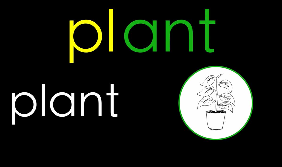 The word plant alongside a plant illustration