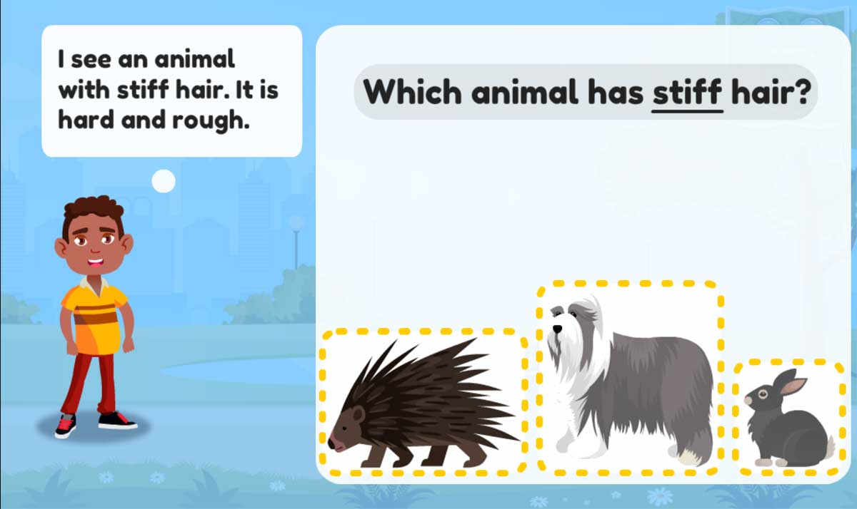 Which animal has stiff hair? A porcupine, dog, or rabbit.