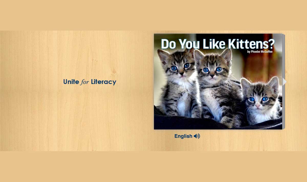 Do You Like Kittens book cover with three grey and white kittens