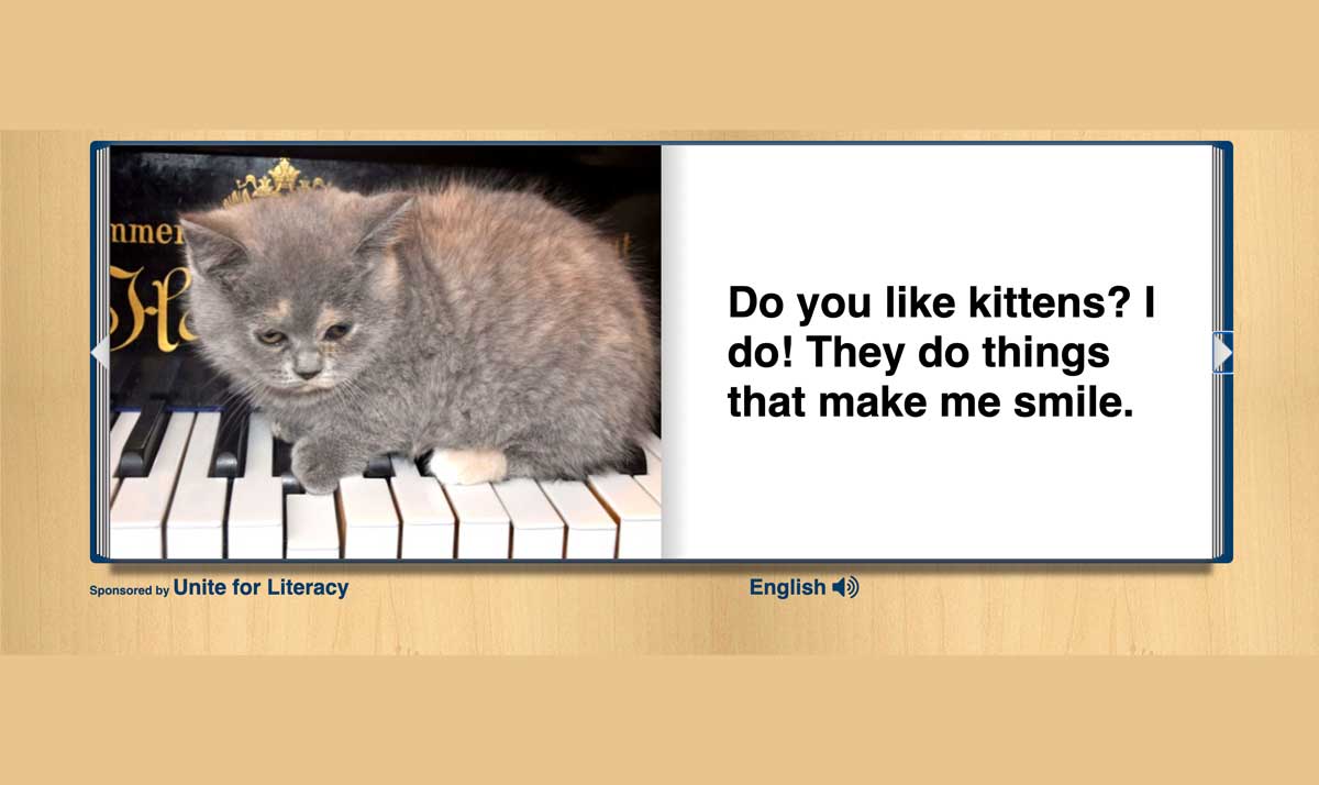 Do you like kittens? Grey kitten image