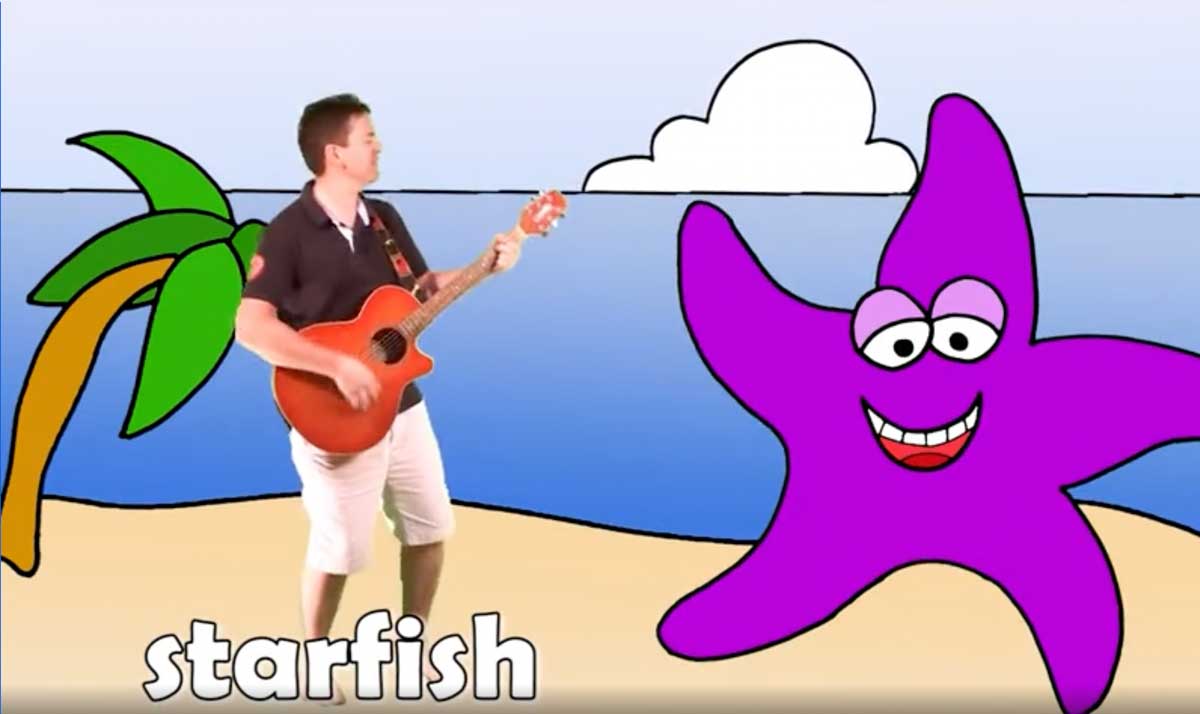 Beach and starfish illustration