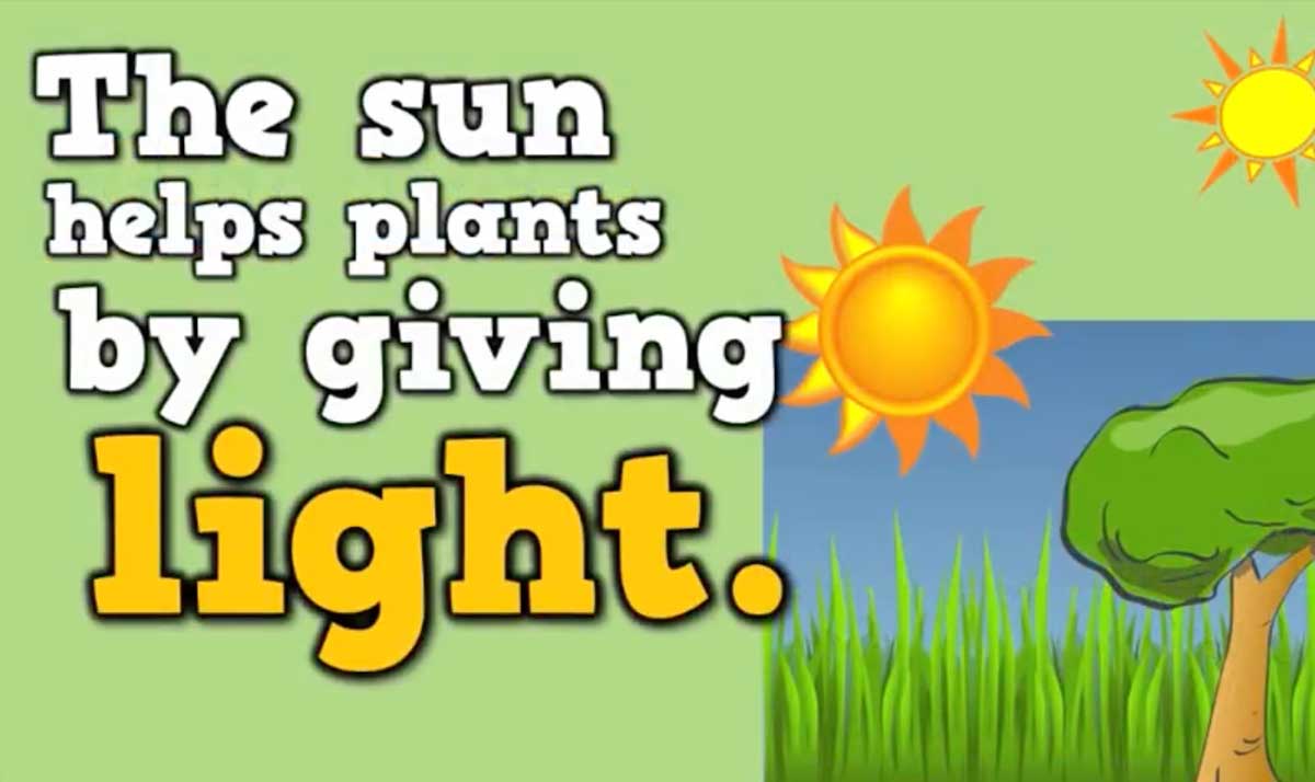 The sun helps plants by giving them light