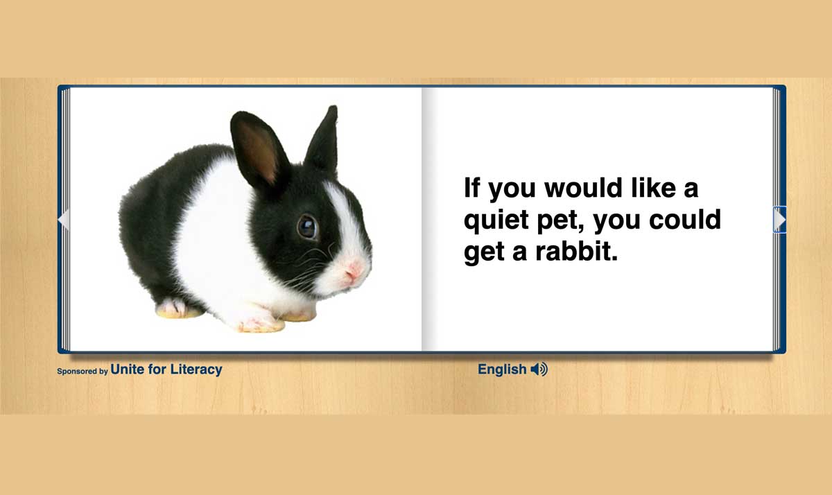 Read about pet rabbits and how quiet they are
