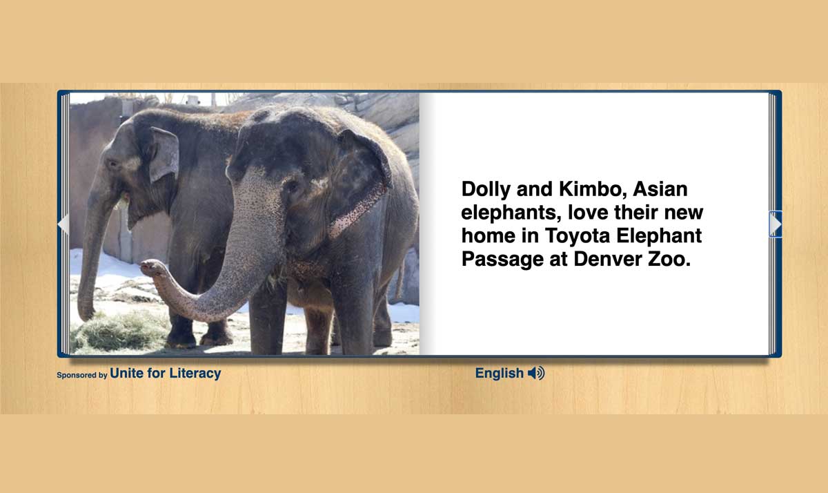 Elephants live at the Denver Zoo