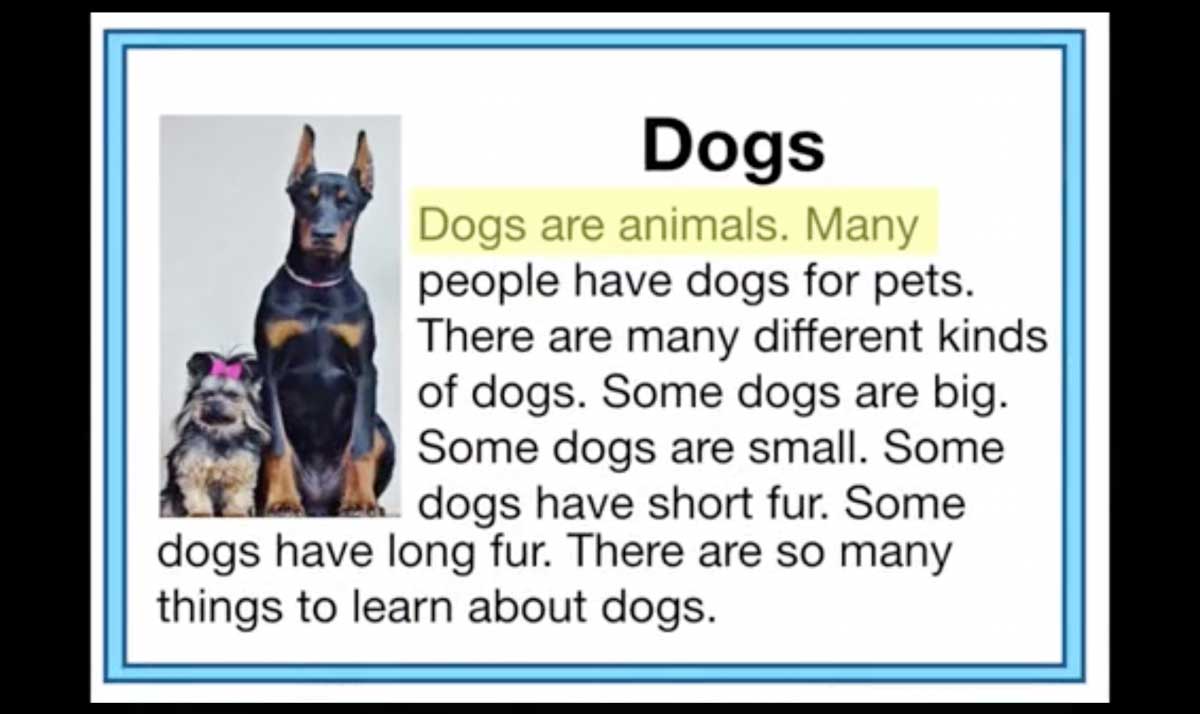 Paragraph about dogs with an image of two dogs
